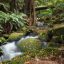 Tasmanian waterfall in green forest long exposure 7