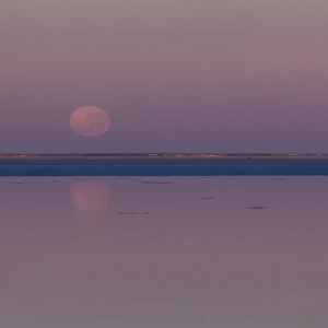 Full moon setting over Lake Eyre reflected in water